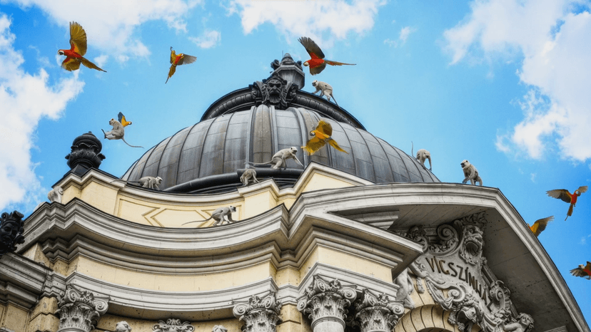 A dzsungel könyve 1500. előadása a Vígszínházban!